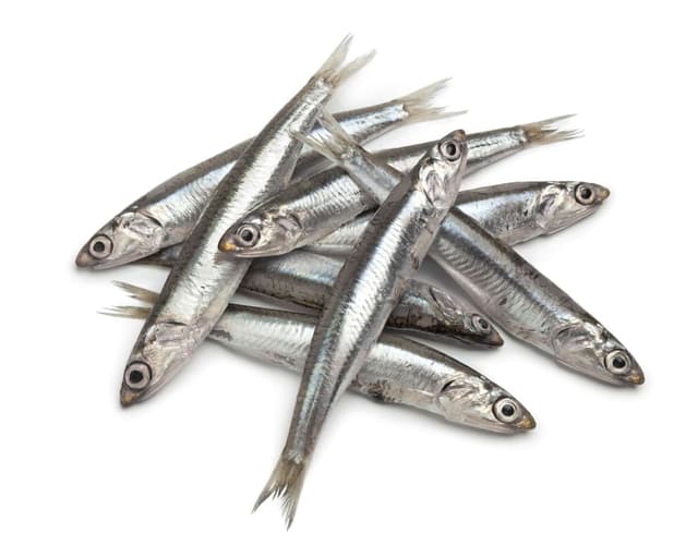 ANCHOIS