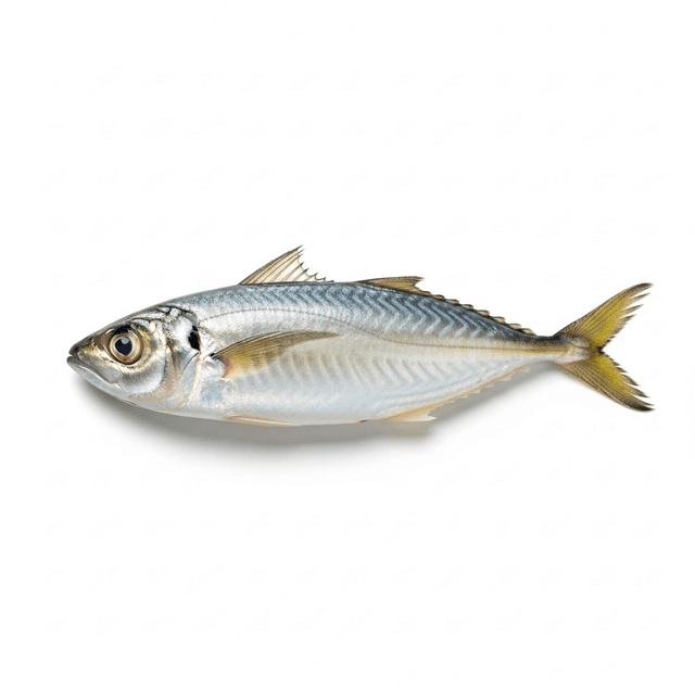CHINCHARD