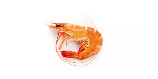 CREVETTE
