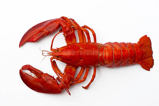 HOMARD