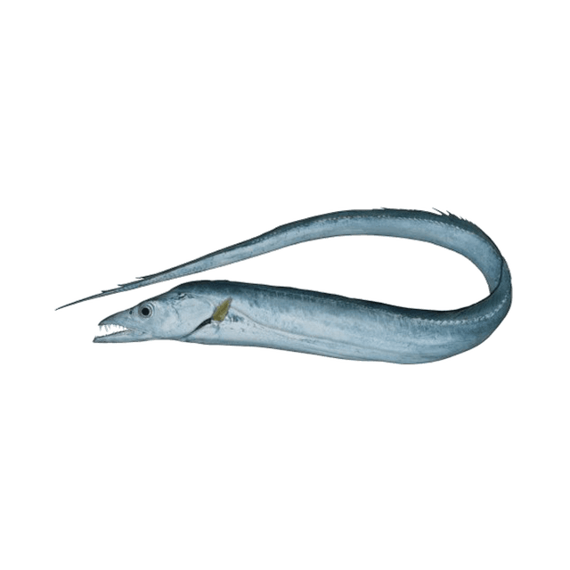 SABRE