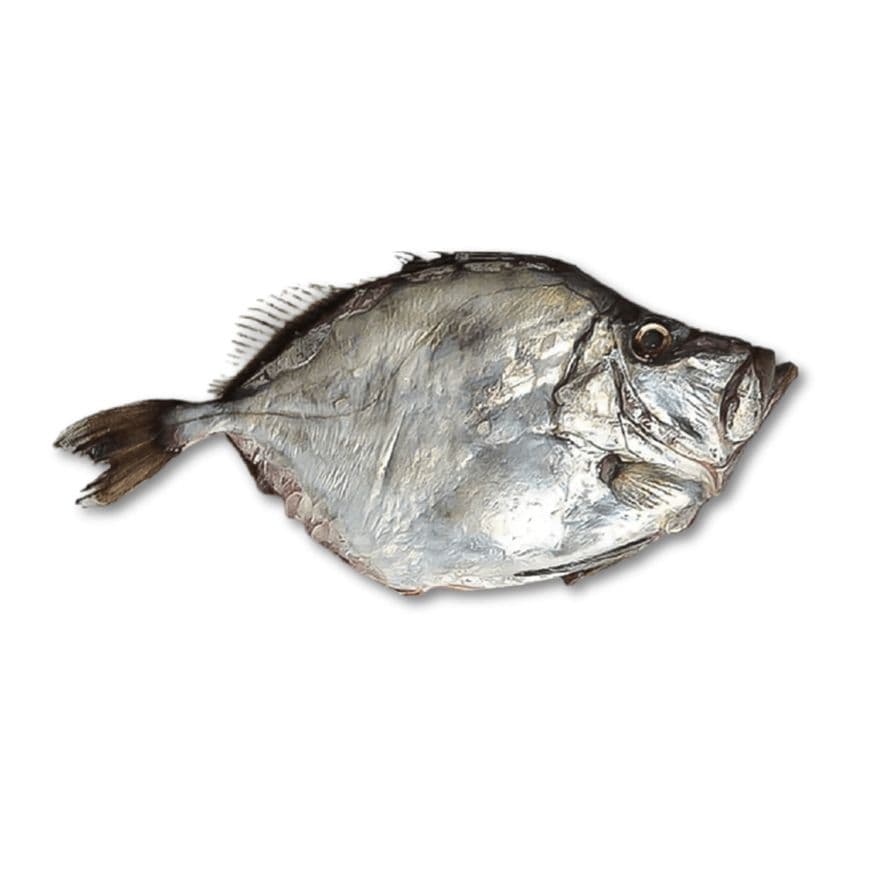 SAINT PIERRE ARGENTÉ