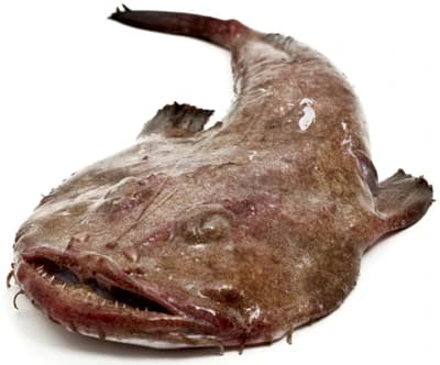 BAUDROIE