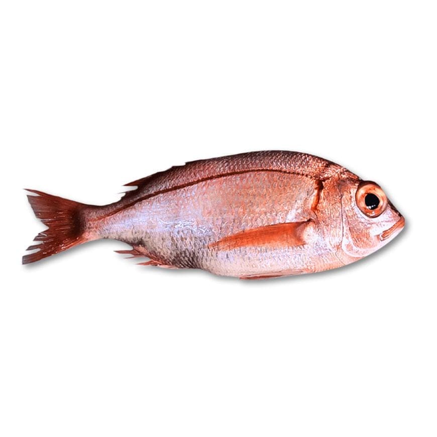 COQ ROUGE