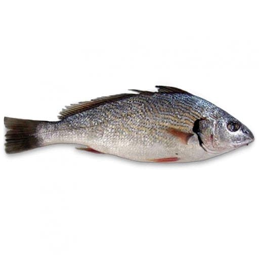 OMBRINE