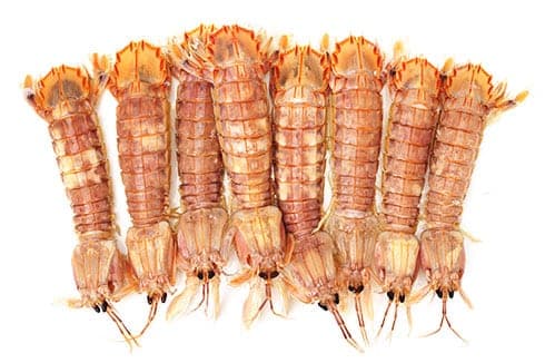 PETITE CIGALE - 276.3157894736842 dh/kg