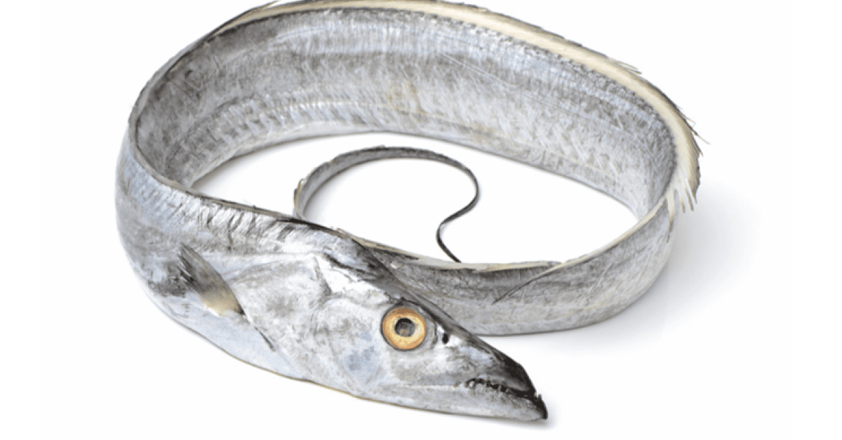 SABRE ARGENTE