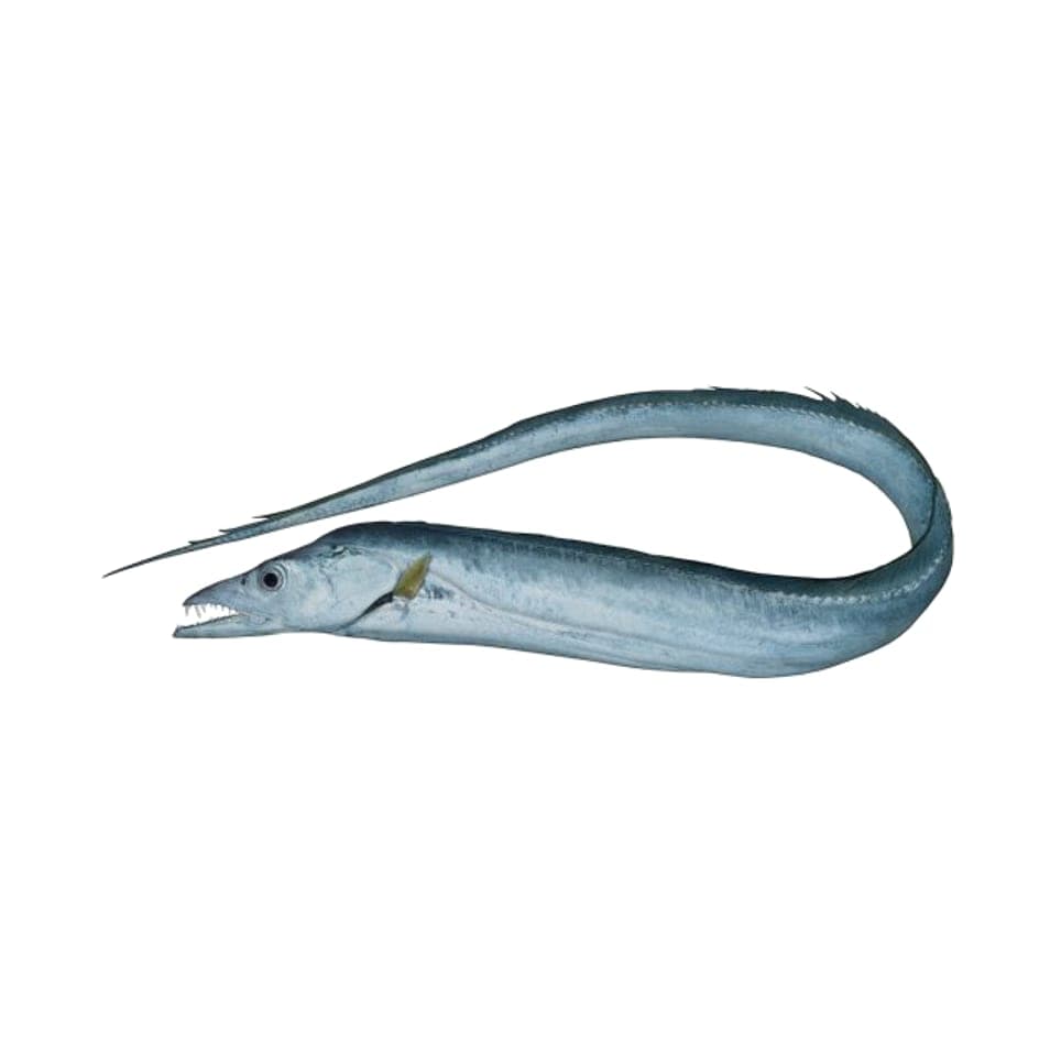 SABRE