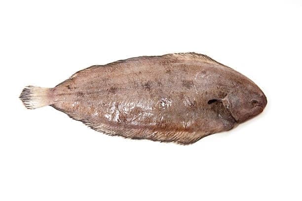 SOLE VELUE